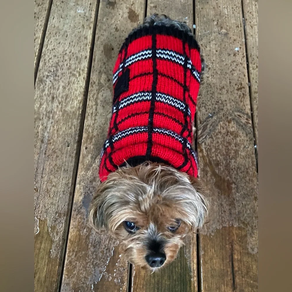 Dressy Dog Sweater for small girl dogs. Winter Dog Jacket/Coat for Female Dogs